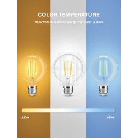 G95 Rustik Ampul Günışığı 6W