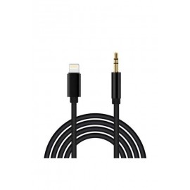 Aux Lightning Kablo