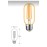 4w 220v E27 Gemici Rustik Led Ampul T45 Dekoratif Rustik Ampül