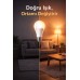 10 Adet 3 Renk Modlu 10w Led Ampul E27 Duy Anahtarla Renk Değişen 3 Işık Tek Ampul